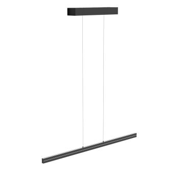 Suspension Steinhauer Bande LED Noir, 4 lumières