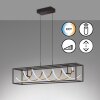 Suspension Fischer & Honsel Gian LED Noir, 1 lumière, Télécommandes