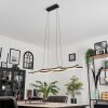 Suspension Fuliola LED Noir, 1 lumière