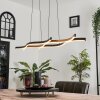 Suspension Fuliola LED Noir, 1 lumière