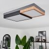 Plafonnier Bornos LED Anthracite, 1 lumière