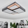 Plafonnier Bornos LED Anthracite, 1 lumière