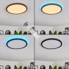 Plafonnier Boyero LED Noir, 2 lumières, Télécommandes, Changeur de couleurs
