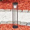 Borne lumineuse Lokpano LED Noir, Blanc, 1 lumière, Détecteur de mouvement