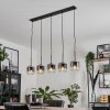 Suspension Verre 15 cm Lauden Clair, Fumé, 5 lumières Suspension Verre 15 cm Lauden Clair, Fumé, 5 lumières