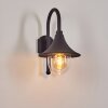 Applique murale d'extérieur Brilliant Berna Transparent, 1 lumière