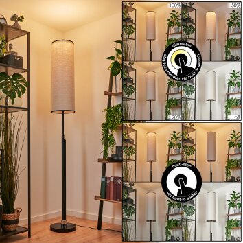 Lampadaire Coquimbito LED Noir, 1 lumière