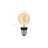 Philips Hue E27 LED 7 watts 2100 Kelvin 550 lumens
