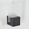 Applique murale d'extérieur Aasbo LED Noir, 1 lumière