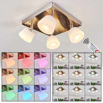 Plafonnier Newborn LED Brun foncé, Nickel mat, 4 lumières, Télécommandes, Changeur de couleurs