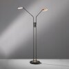 Lampadaire Fischer & Honsel Dent LED Noir, 2 lumières