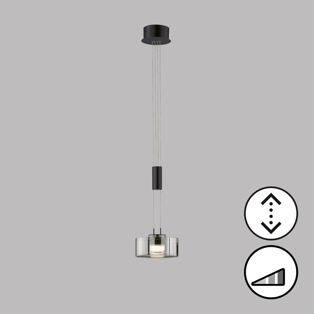 Suspension Fischer & Honsel Lavin LED Noir, 1 lumière main product photo