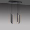 Suspension Paul Neuhaus FLUTE LED Noir, 10 lumières