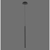 Suspension Paul Neuhaus FLUTE LED Noir, 1 lumière