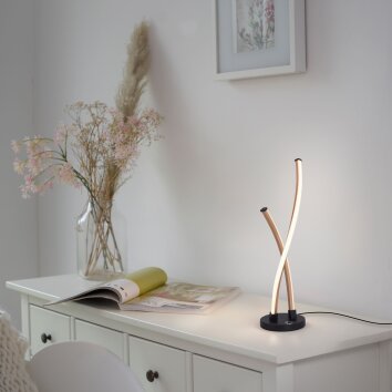 Lampe de table Paul Neuhaus POLINA LED Noir, 1 lumière