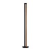 Lampadaire Paul Neuhaus PURELINES LED Écru, 1 lumière, Télécommandes
