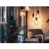 Philips Hue E27 LED 7 watts 2100 Kelvin 550 lumens