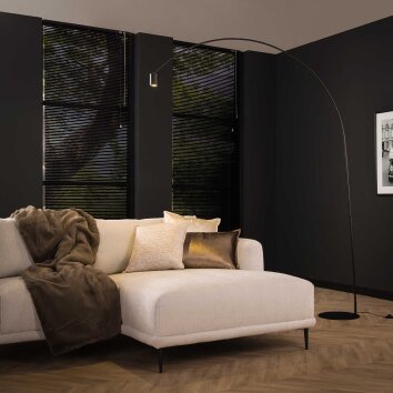 Lampadaire Arc LED Anthracite, 1 lumière Lampadaire Arc LED Anthracite, 1 lumière