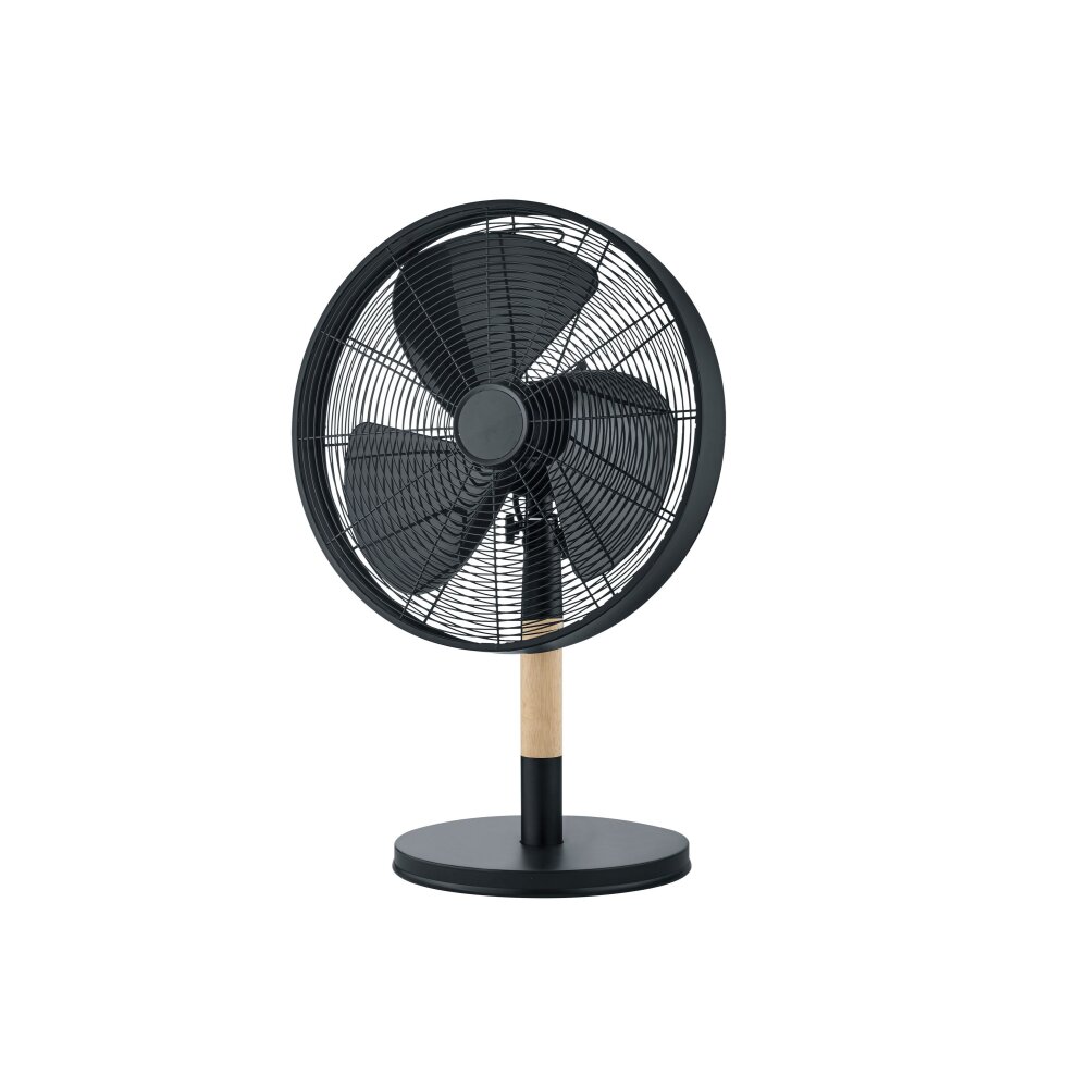 Ventilateur Reality Viking Noir main product photo