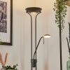 Lampadaire Biot LED Noir, 2 lumières