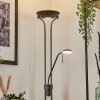 Lampadaire Biot LED Noir, 2 lumières