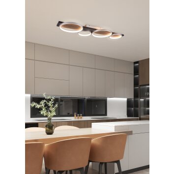 Plafonnier Trio Medera LED Noir, Titane, 1 lumière