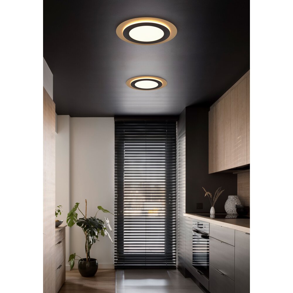 Plafonnier Trio MORGAN LED Or, Noir, 1 lumière, Télécommandes main product photo