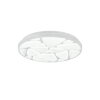 Plafonnier Reality ASTRO LED Blanc, 1 lumière, Télécommandes