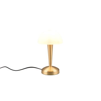 Lampe de table Reality CANARIA LED Laiton, 1 lumière