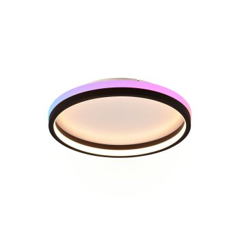 Plafonnier Reality HIKO LED Noir, 2 lumières, Télécommandes