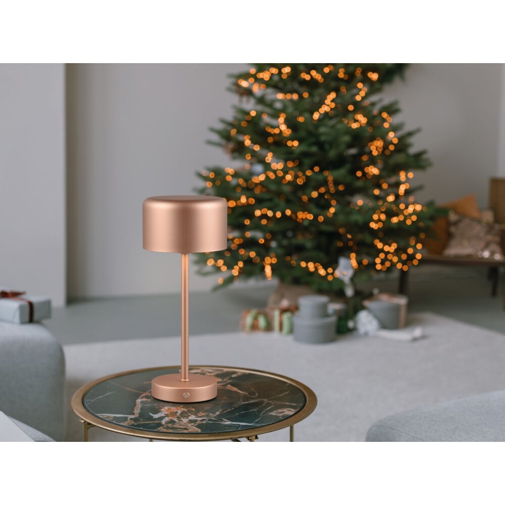 Lampe de table Reality JEFF LED Brun, 1 lumière main product photo