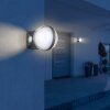 Applique murale d'extérieur Globo ILLI LED Anthracite, 1 lumière