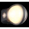 Applique murale d'extérieur Globo ILLI LED Anthracite, 1 lumière
