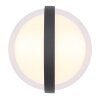 Applique murale d'extérieur Globo ILLI LED Anthracite, 1 lumière