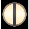 Applique murale d'extérieur Globo ILLI LED Anthracite, 1 lumière