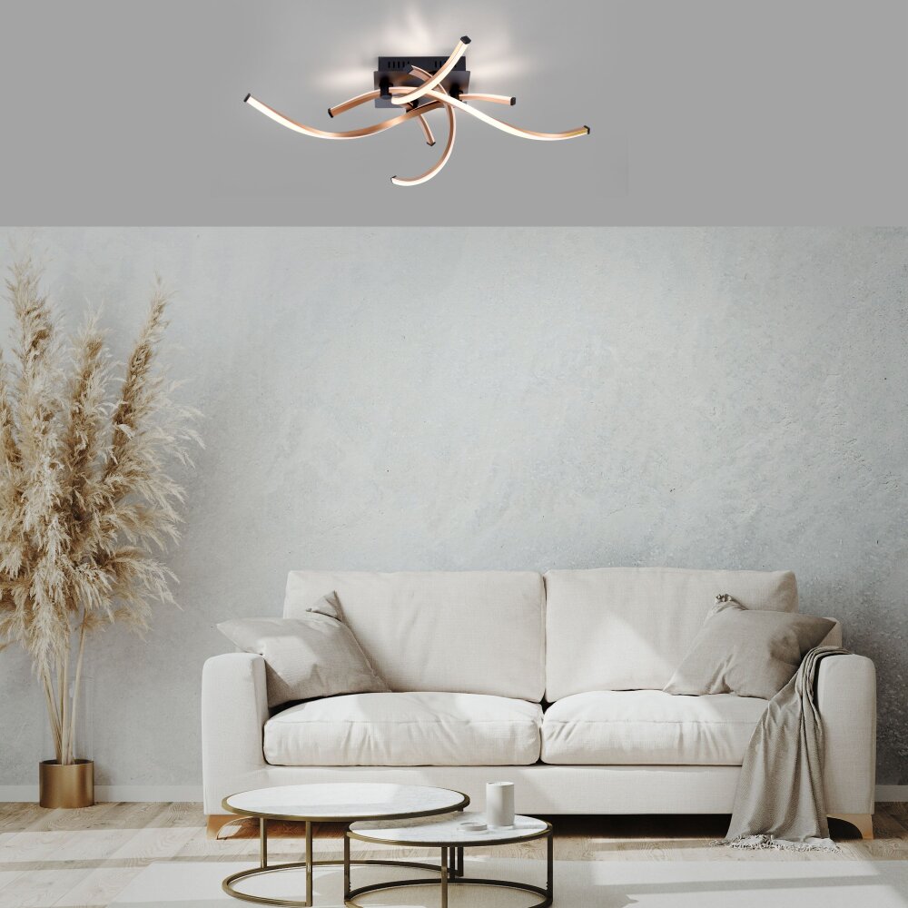 Plafonnier Paul Neuhaus POLINA LED Noir, 1 lumière main product photo