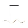 Suspension Paul Neuhaus Q-SWING LED Anthracite, Or, 1 lumière, Télécommandes