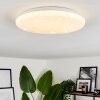 Plafonnier Melres LED Blanc, 1 lumière, Télécommandes