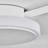 Plafonnier Amdal LED Blanc, 2 lumières