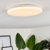 Plafonnier Melres LED Blanc, 1 lumière, Télécommandes