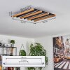 Plafonnier Favorina LED Écru, Noir, 1 lumière, Télécommandes