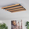 Plafonnier Favorina LED Écru, Noir, 1 lumière, Télécommandes