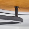 Plafonnier Cardozo LED Écru, Noir, 1 lumière