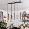 Suspension Caimitte Clair, Fumé, 5 lumières