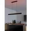 Suspension Eglo ANDREAS-Z LED Noir, 2 lumières, Changeur de couleurs