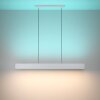 Suspension Eglo ANDREAS-Z LED Gris, 2 lumières, Changeur de couleurs