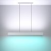Suspension Eglo ANDREAS-Z LED Gris, 2 lumières, Changeur de couleurs