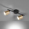 Plafonnier Fischer & Honsel Vano LED Noir, 2 lumières
