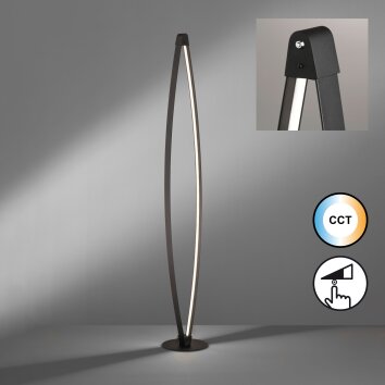 Lampadaire Fischer & Honsel Fenga LED Noir, 1 lumière