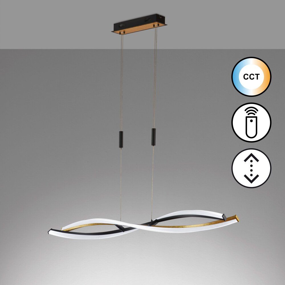 Suspension Fischer & Honsel Torcido LED Noir, 1 lumière, Télécommandes main product photo